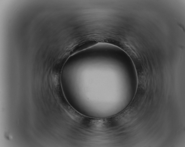 X0000091860131200709121337