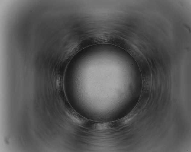 X0000091860134200709121337