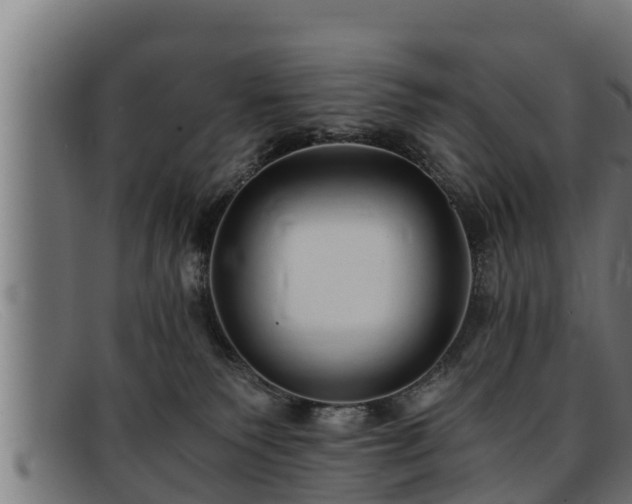 X0000091860135200709121337