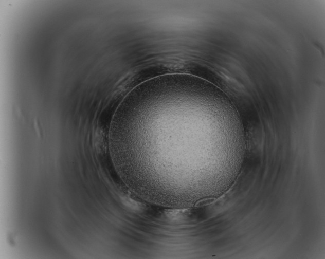 X0000091860136200709121337