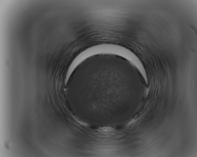 X0000091860137200709121337