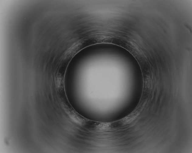 X0000091860138200709121337