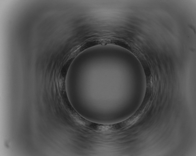 X0000091860139200709121337