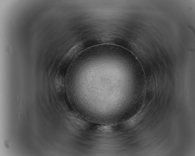 X0000091860140200709121337