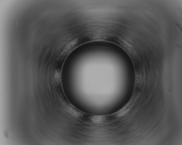 X0000091860142200709121337