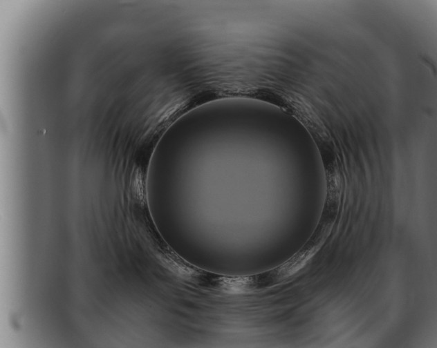 X0000091860143200709121337