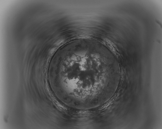 X0000091860145200709121336