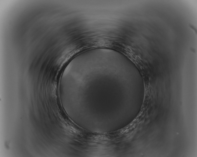 X0000091860146200709121336