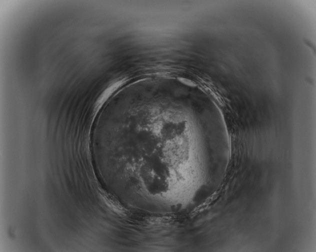 X0000091860147200709121336