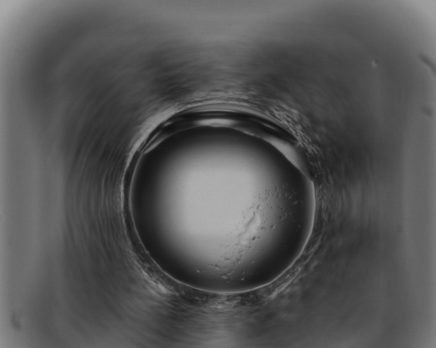 X0000091860148200709121336