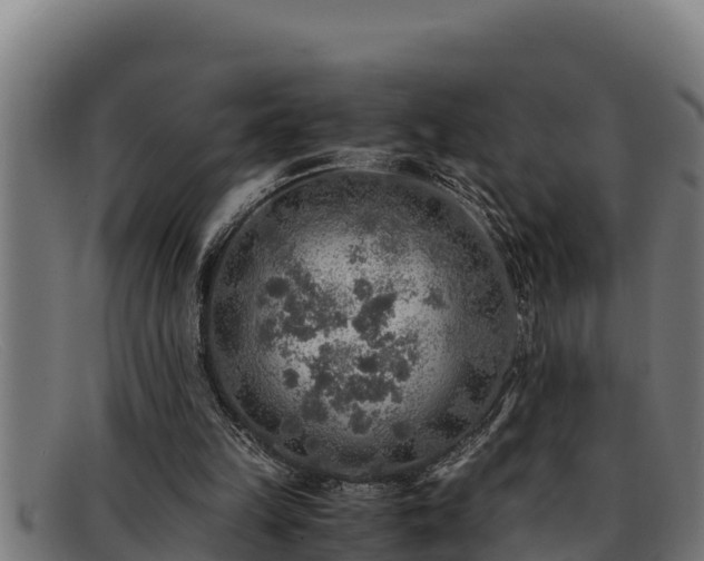 X0000091860149200709121336