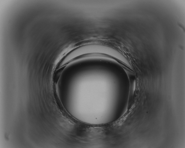 X0000091860150200709121336