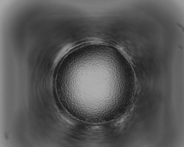 X0000091860151200709121336