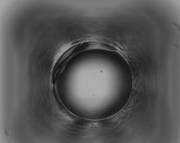 X0000091860152200709121336