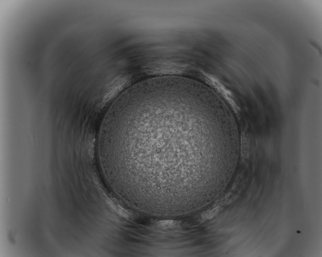 X0000091860153200709121336