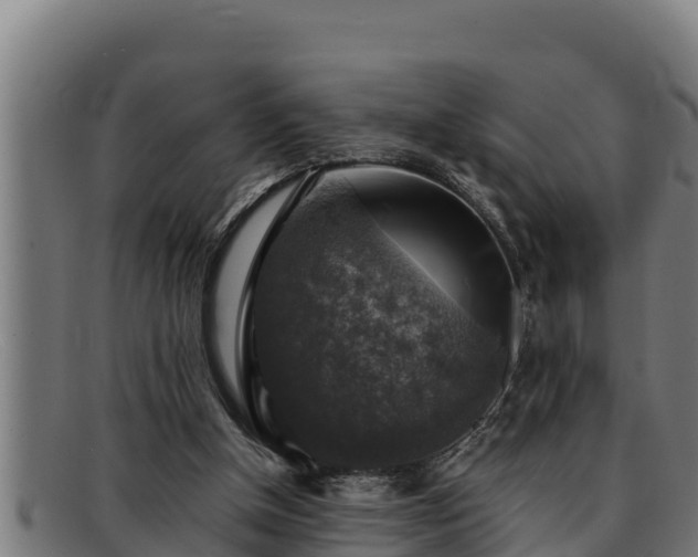 X0000091860154200709121336