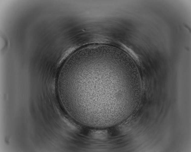 X0000091860155200709121336