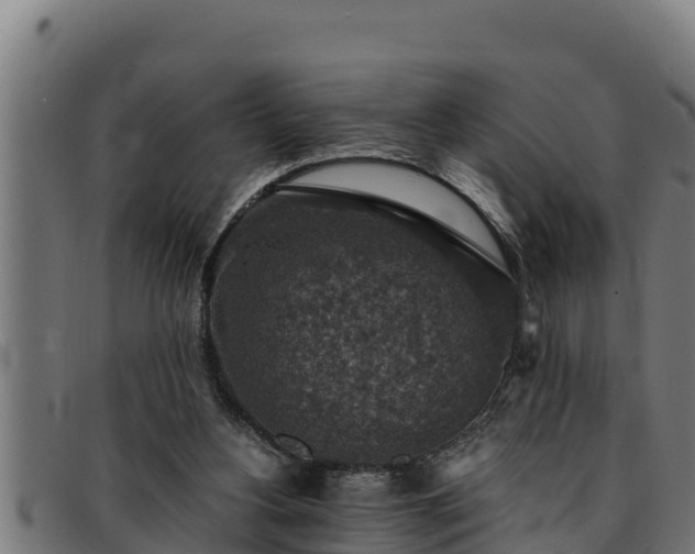 X0000091860156200709121336