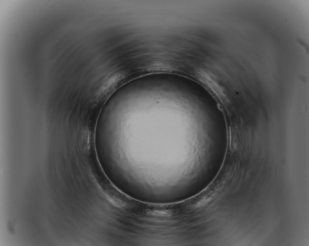 X0000091860157200709121336