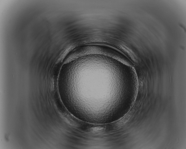 X0000091860158200709121336