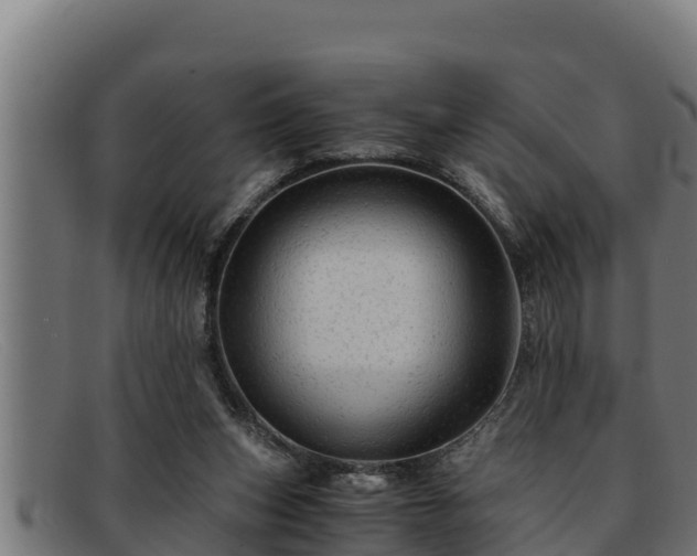 X0000091860159200709121336