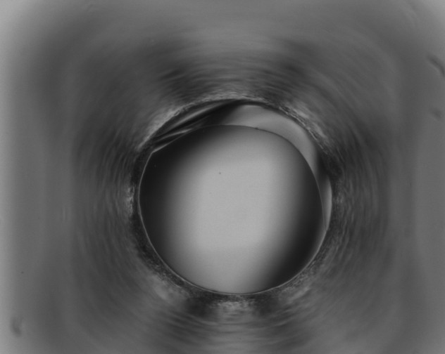 X0000091860160200709121336