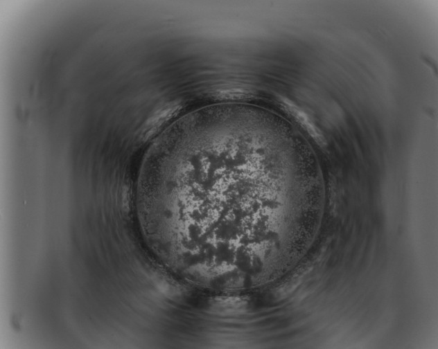 X0000091860161200709121336