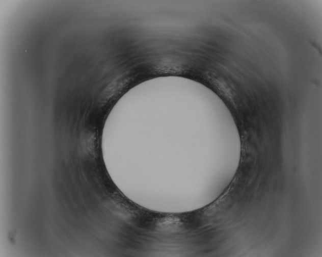 X0000091860162200709121336