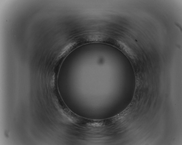 X0000091860163200709121336