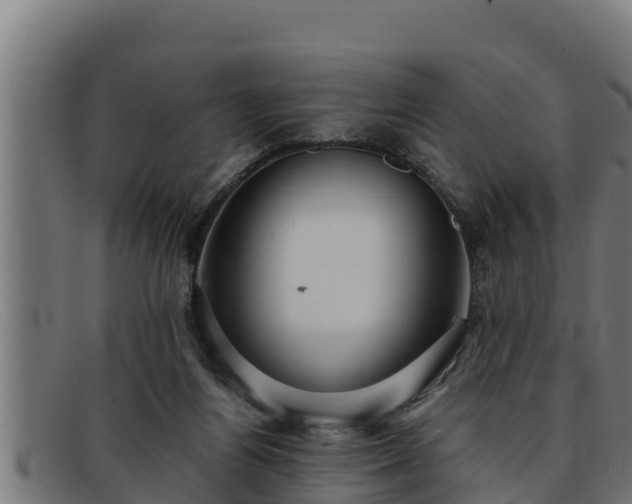 X0000091860164200709121336