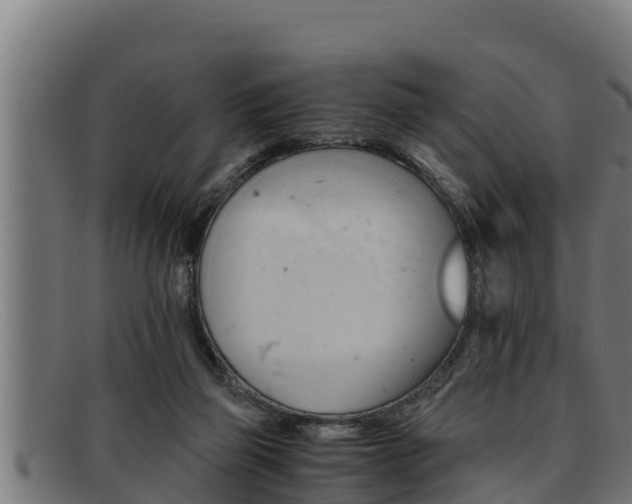 X0000091860165200709121336