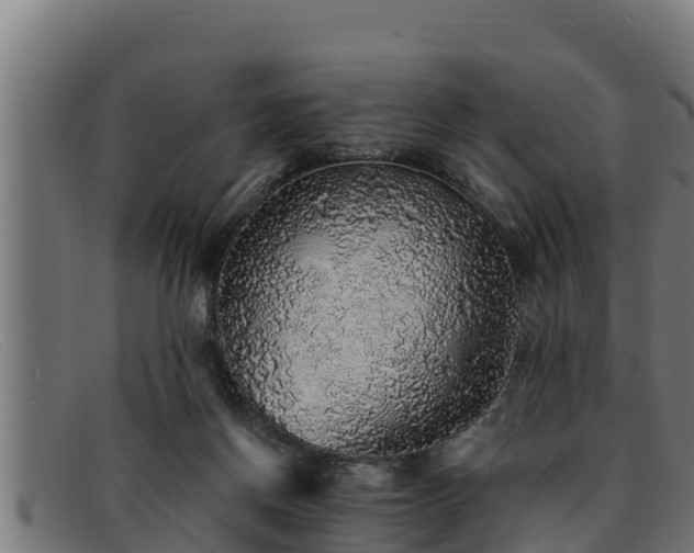 X0000091860166200709121336