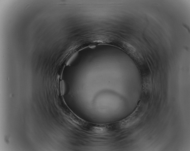 X0000091860167200709121336