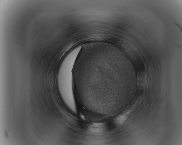 X0000091860168200709121336