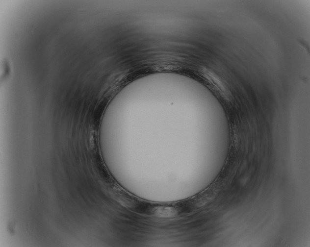 X0000091860169200709121336