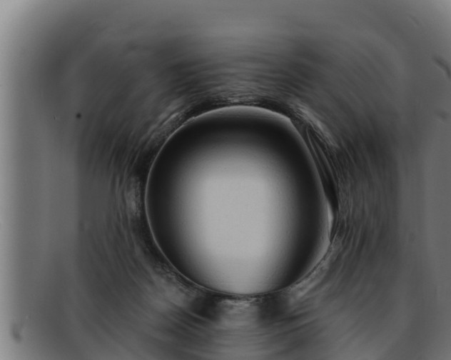 X0000091860170200709121336