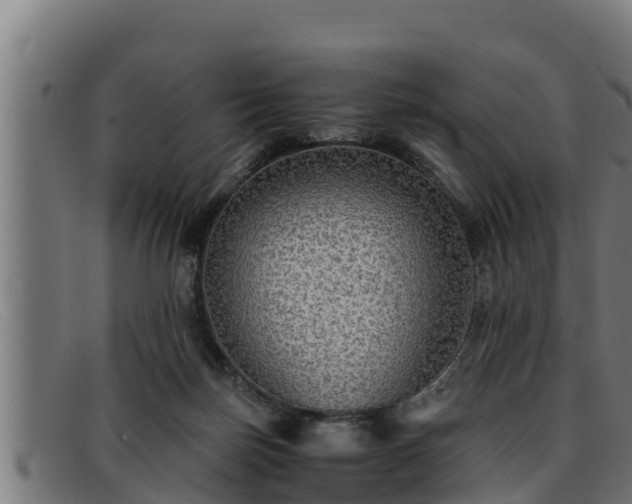 X0000091860171200709121336