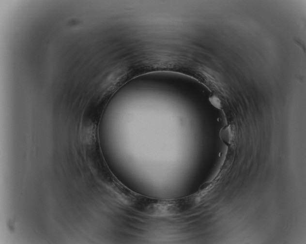 X0000091860172200709121336