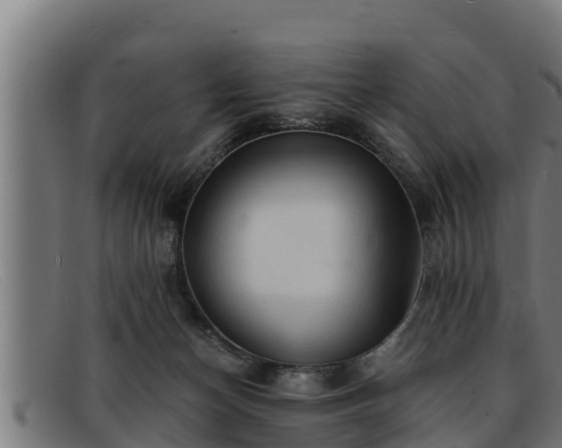 X0000091860174200709121336