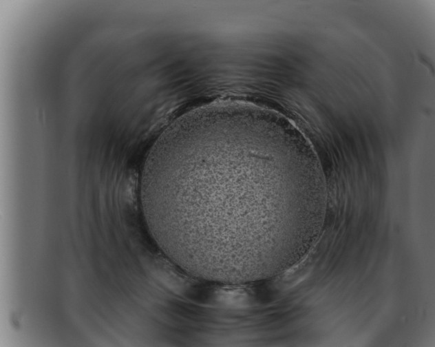 X0000091860175200709121336