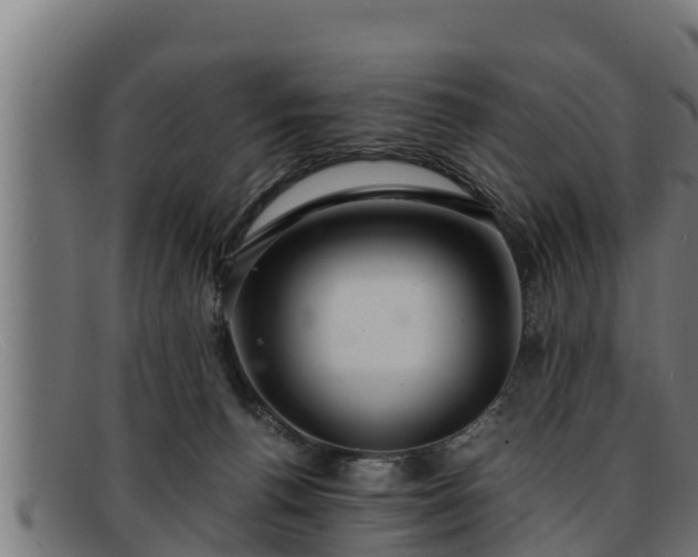 X0000091860176200709121336