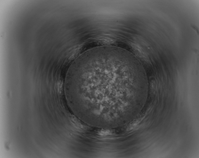 X0000091860177200709121336