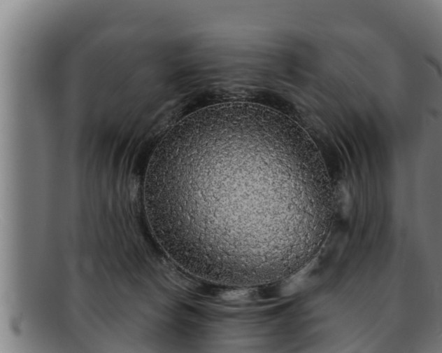 X0000091860178200709121336