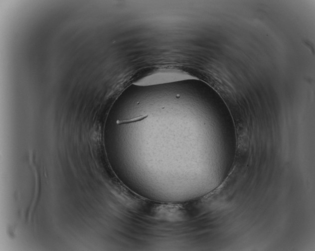 X0000091860179200709121336