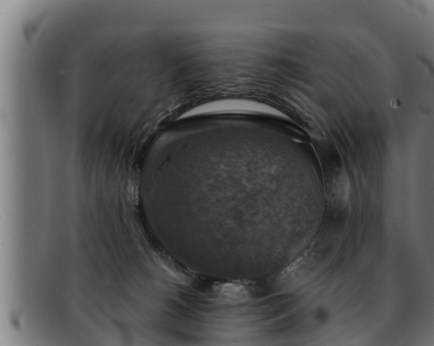 X0000091860180200709121336