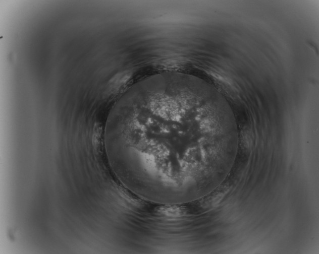 X0000091860181200709121337