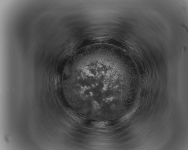 X0000091860182200709121337