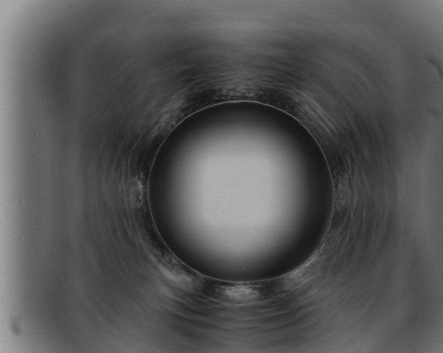 X0000091860183200709121337