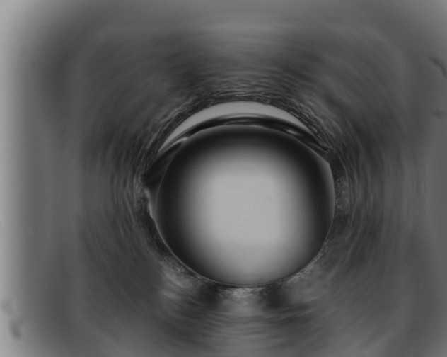 X0000091860184200709121337