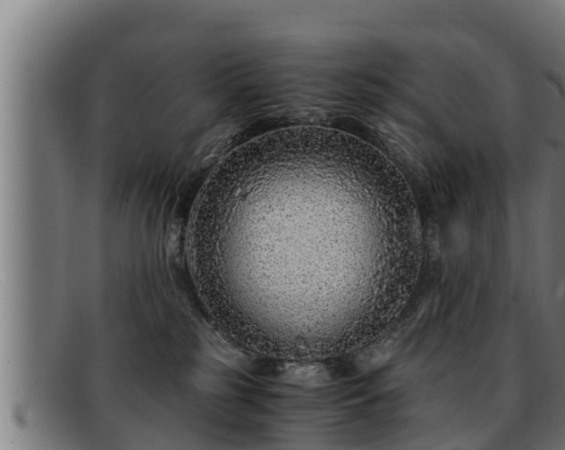 X0000091860185200709121337